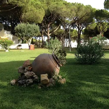 Buganvília Praia Da Falésia Appartement *