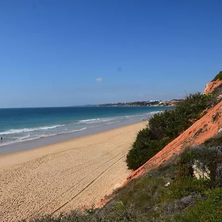 Buganvília Praia Da Falésia *