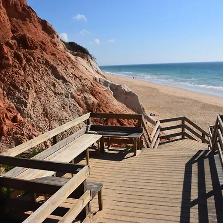 Buganvília Praia Da Falésia
