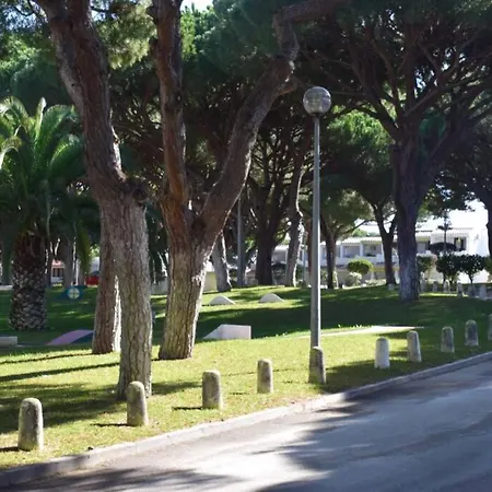 Buganvilia Praia Da Falesia Lejlighed