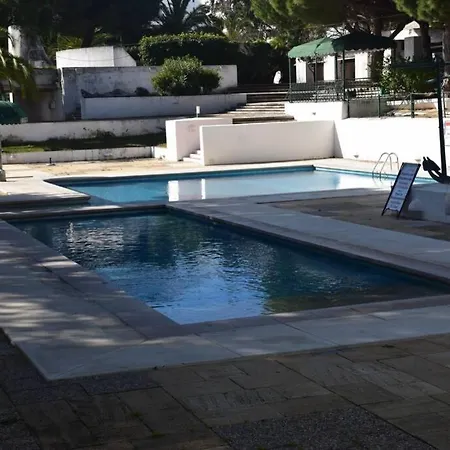 Buganvília Praia Da Falésia *