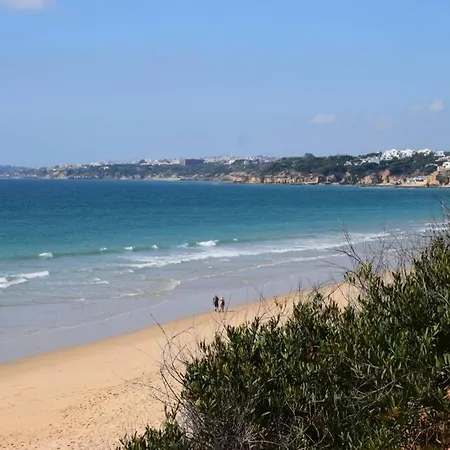 Buganvília Praia Da Falésia *